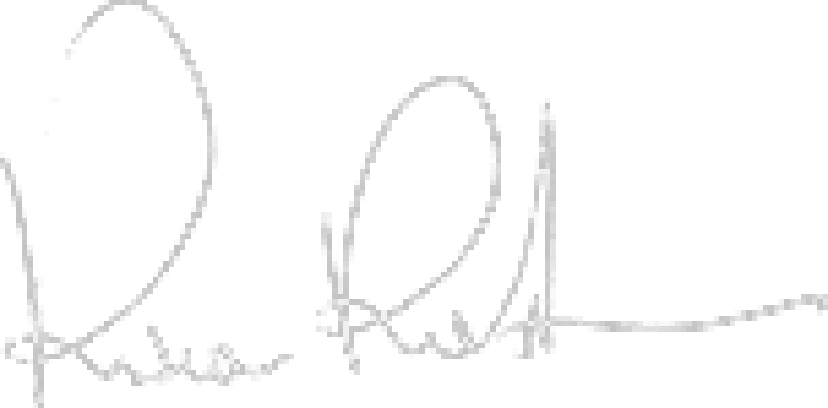 Roberto rasia Signature